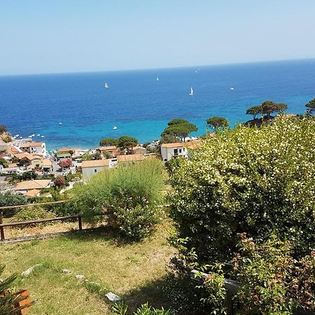 Hotel Gallo Nero SantʼAndrea Exterior foto