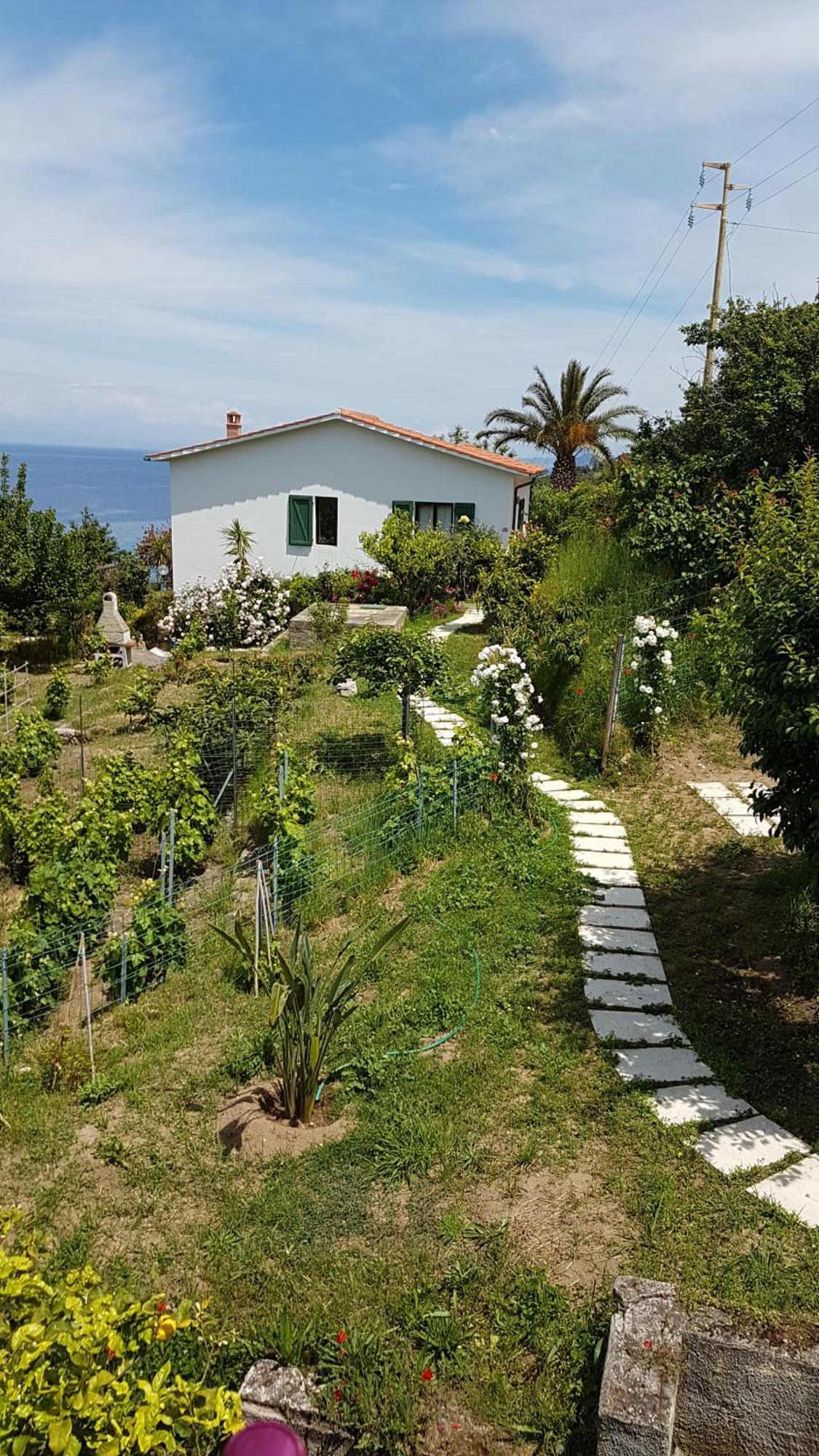 Hotel Gallo Nero SantʼAndrea Exterior foto
