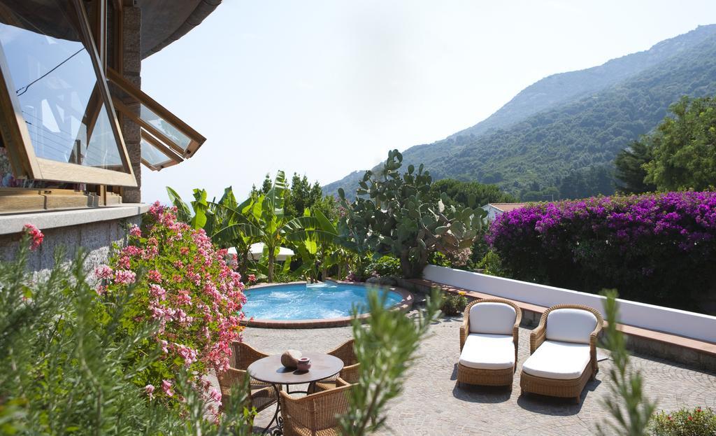 Hotel Gallo Nero SantʼAndrea Exterior foto