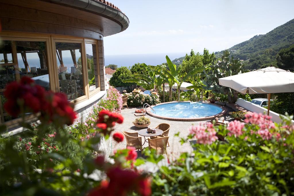 Hotel Gallo Nero SantʼAndrea Exterior foto
