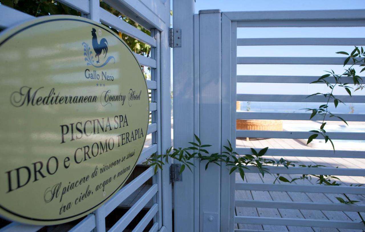 Hotel Gallo Nero SantʼAndrea Exterior foto